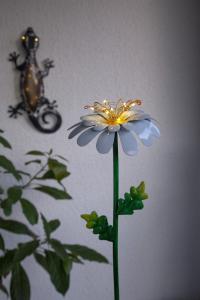 Star Trading Daisy Solcellsdekoration Vit