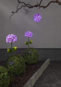 Star Trading Hortensia Solcellsdekoration 16cm Rosa