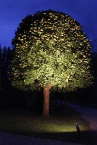 Star Trading LED-Lampa E27 PAR38 Spotlight Outdoor 15W