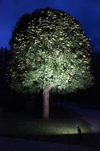 Star Trading LED-Lampa E27 PAR38 Spotlight Outdoor Silver