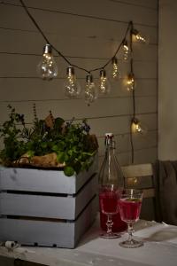 Star Trading Ljusslinga Solcell Glow Transparent 1,8m