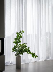 Gardinlängd Diana Offwhite 1-Pack 280x300cm Svanefors