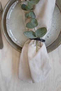 Textilgruppen Panama Servett Sandbeige 50x50cm