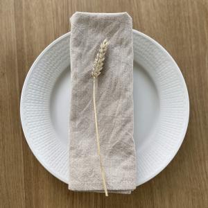Tygservett Fritz Magnus Nature Beige 50x50cm