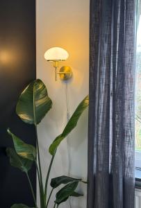 Vägglampa Glas Aneta Lighting New August Mässing/Vit 25cm