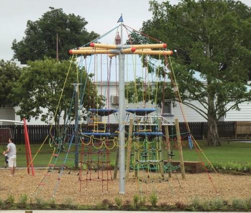 Klätterträd med Fågelbon