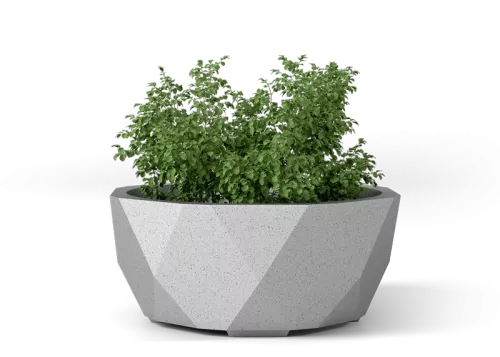 Planter Petrus