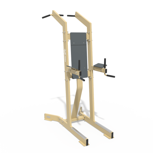 BENLYFT, DIPS, CHINS