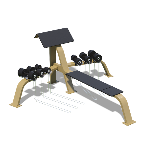 Preacher Curl-bänk med flera olika hantlar