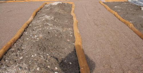 KANTAVGRÄNSNING I ROBINIA