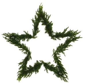Kransstomme stjärna obehandlad 3 set ELDgarden