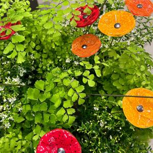 Dekoration Glas Vallmo olika storlekar ELDgarden