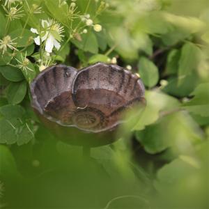 Fågelbad Vallmokopp ELDgarden