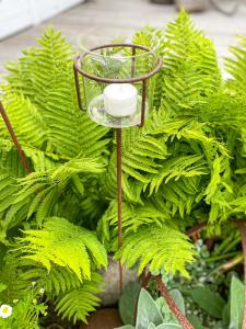 Värmeljushållare Glas Hög ELDgarden