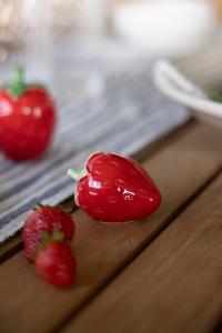 Gårdby Jordgubbe liggande Storefactory