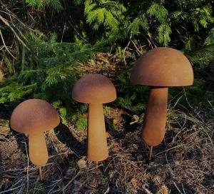 Rostig svamp Lind decoration i olika stolekar