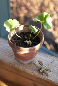 Trädgårdsdekoration trollslända brons ELDgarden