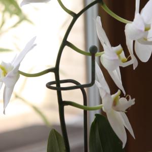 Blumenstütze Haken meliert ELDgarden