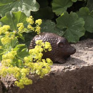 Dekoration Igelkott Ivar ELDgarden