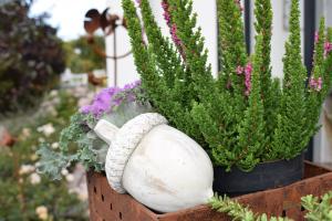 Litet ekollon ELDgarden