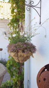 Hängampel ELDgarden