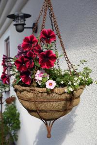 Hängampel ELDgarden