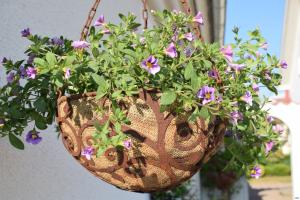 Hängampel blomsterkorg ELDgarden