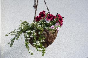 Hängampel blomsterkorg ELDgarden