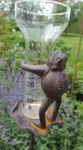 Regnmätare Groda ELDgarden