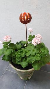 Värmeljushållare Ekblad ELDgarden