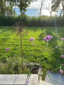 Trädgårdsdekoration Allium rost wikholmform