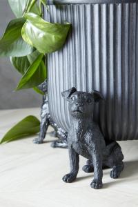 Krukfot Jack wikholmform