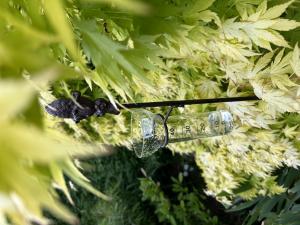 Regnmätare Humlekotte ELDgarden