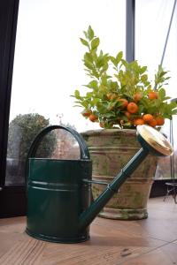 Vattenkanna GardenMind oval m stril 4 liter olika färger