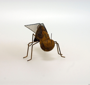 Fluga rostig wikholmform