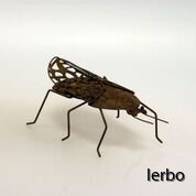 Skalbagge rostig wikholmform