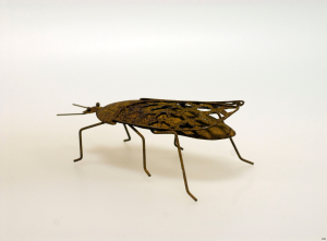 Skalbagge rostig wikholmform