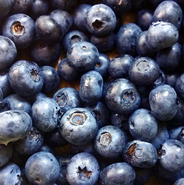 Blueberry Extra {CAP}