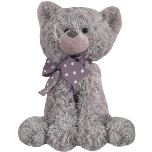 grey cat teddy