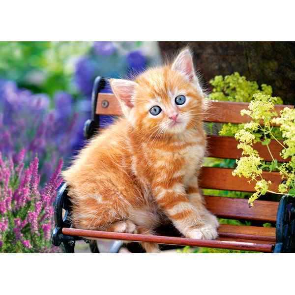 Castorland Pussel 180 Bitar Ginger Kitten