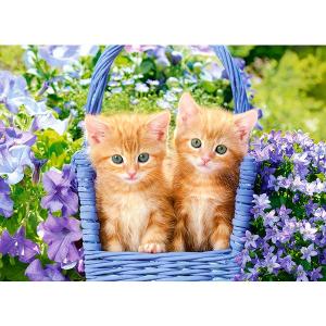 Castorland Pussel 70 Bitar Ginger Kitten