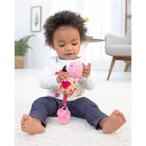 skip hop teething toys
