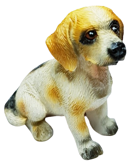 Hund - Beagle - sittande