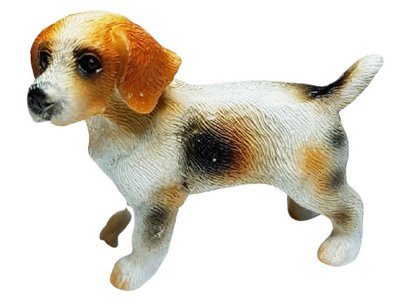 Hund - Beagle - stående