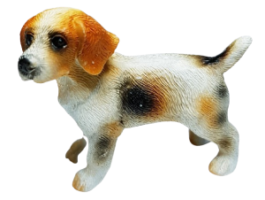 Hund - Beagle - stående