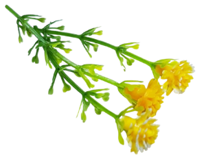 Blombukett - gul