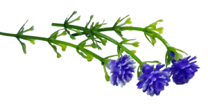 Blombukett - mörk lila