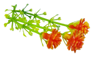 Blombukett - orange