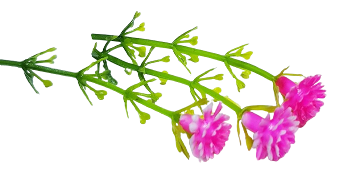 Blombukett - rosa