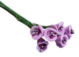 Blombukett - lila